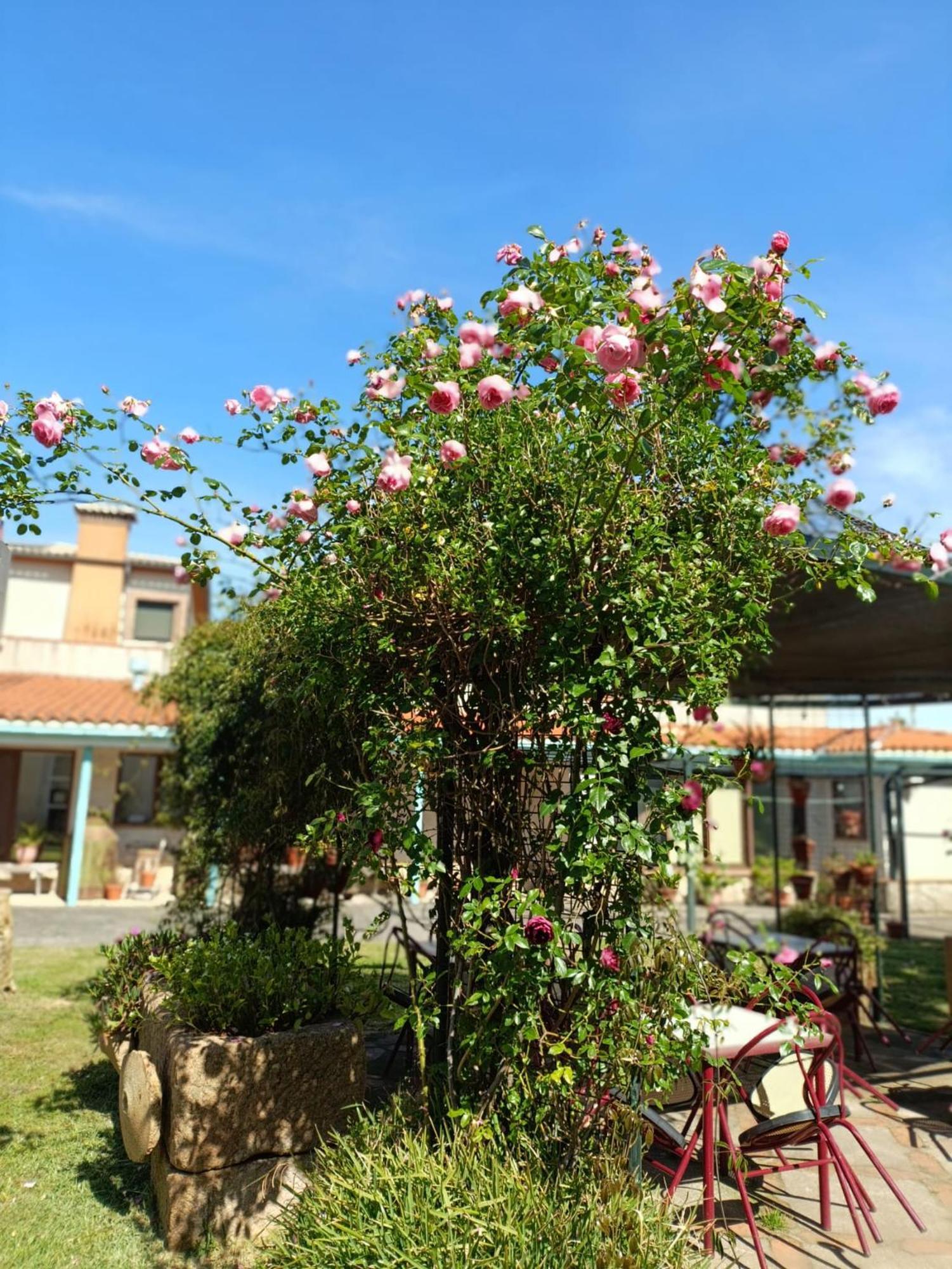 Casa Rural Del Corral Malpartida De Plasencia Exterior foto